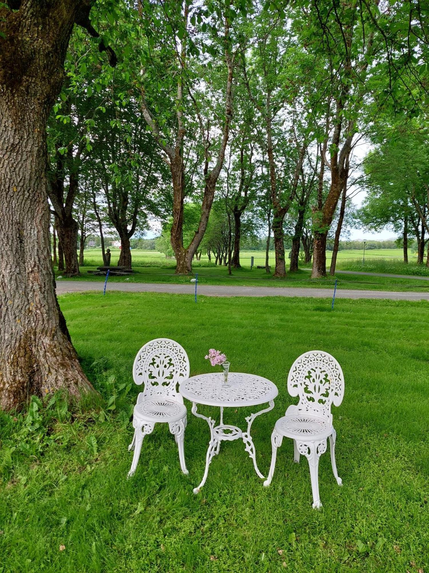 Tjotta Gjestegaard Alstahaug ภายนอก รูปภาพ
